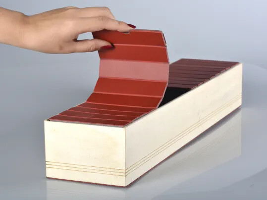 Vanya & Aaneri Student Challenge NABA